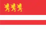 Flag of Marneuli