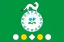 Flag of Mishelyovka