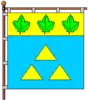 Flag of Novoiavorivsk