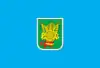 Flag of Novopskovskyi Raion