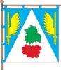Flag of Novyi Kalyniv