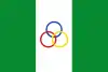 Flag of Nunchía
