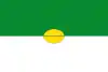 Flag of Palocabildo