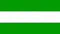 Flag of Presidente Hayes