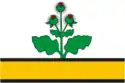 Flag of Repyovsky District