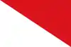 Flag of Ricaurte