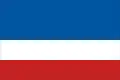 The flag of the Ruthenians World. also used as the Ruhenian Ethnic Minority Council Flag