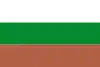 Flag of Sáchica