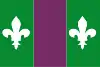 Flag of Sant Julià de Cerdanyola