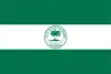 Flag of South Miami, Florida