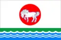 Flag of Srednekolymsky District