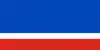 Flag of Turov