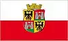 Flag of Wiener Neustadt