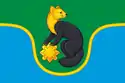 Flag of the Zhuinsky Urban Settlement