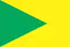 Flag of Znamianka Raion