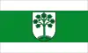 Flag of Telgte
