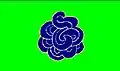 Flag of Cocula