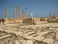 Fontain of Flavius Tullus at the Antonine Temple