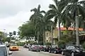 A street of Miami Beach with royal palms