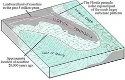 Cross section illustration of the Florida Peninsula showing the current shape of the state as is known today, and the platform created by lower ocean levels 20,000 years ago, extending the west coast 300 miles (480&nbsp;km) to the west, and portions of the east coast 50 to 100 miles (80 to 161&nbsp;km) east of what it currently is