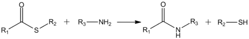Formation of amides from thioesters
