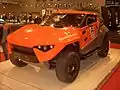Il Fornasari Racing Buggy