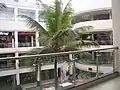 Forum Value Mall