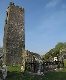 Fr. Sheehy's fenced grave at Shanrahan cemetery with ruined church tower in background.
