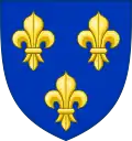 Royal Arms of France, three gold fleur-de-lis on a blue background