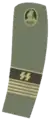 Verbandsführer