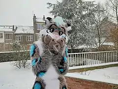 A snow leopard fursuiter.