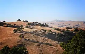 The Diablo Range foothills in eastern Morgan Hill