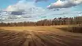 Nearby fields