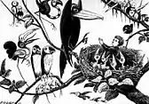 "He saw a concourse of curious birds".