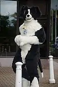 A dog fursuiter.