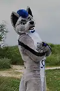 A wolf fursuiter.