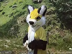 A wolf fursuiter.