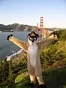 A meerkat fursuiter.