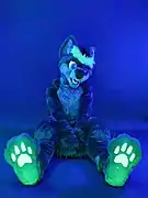 A wolf fursuiter.