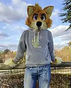 A fox fursuiter.