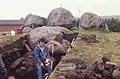 1994 archaeological excavation of the passage grave Hjälmarsrör