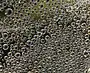 Color photo of water droplets