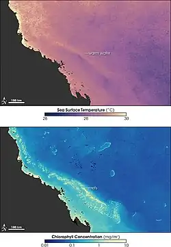 Image 8Sea temperature and bleaching of the Great Barrier Reef (from Environmental threats to the Great Barrier Reef)