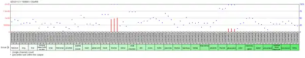 Tissue expression profile of C6orf58