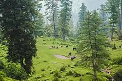 Ganga Choti, Bagh District, Azad Kashmir