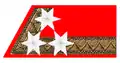 Gardeinfanterist(Guardsman)