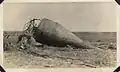 Gas buoy stranded on land after 1915 Galveston Hurricane, near Texas City, Texas