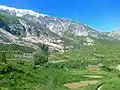 Gelon nature