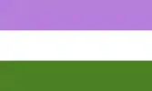 Genderqueer pride flag, made up of three horizontal stripes, which are, from top to bottom, purple, white, and green.