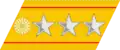 Army collar insignia